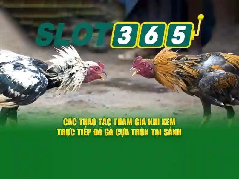 Ưu điểm SLOT365