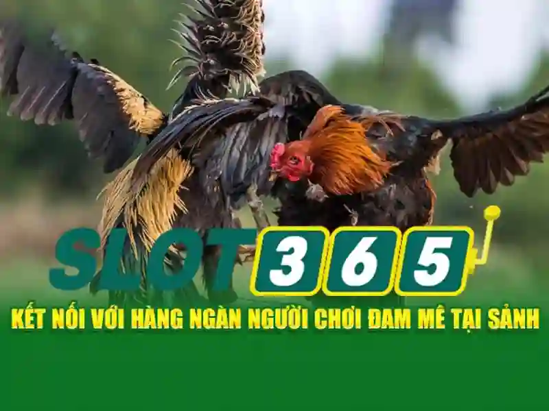 Tải SLOT365 APK