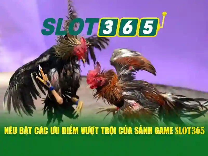 SLOT365