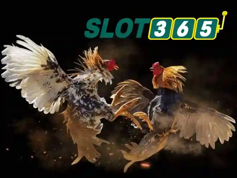 Kết Quả Trận Đấu