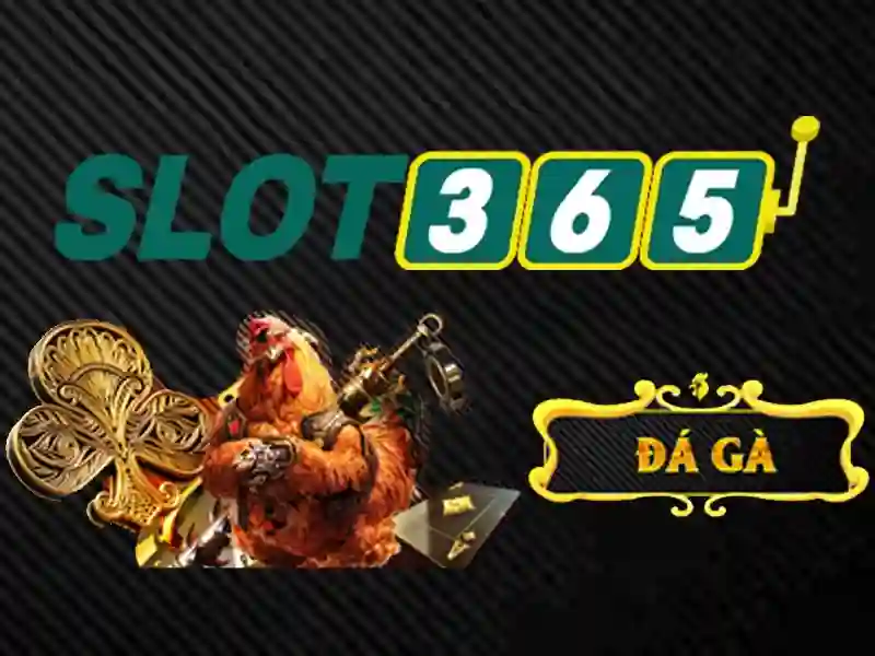 Sòng Bài 3D Slot365