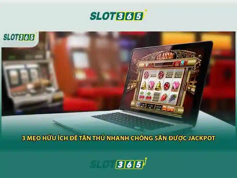Hướng Dẫn Chi Tiết Cho Người Mới