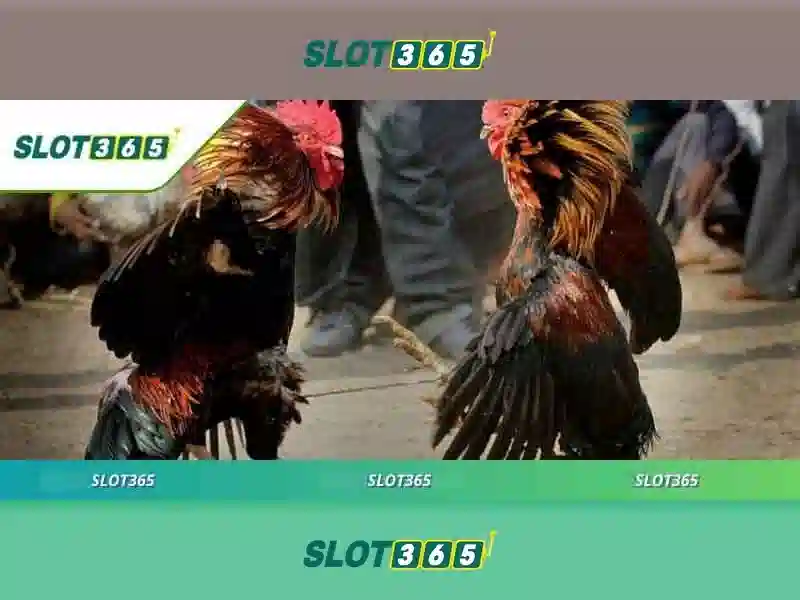 SLOT365 Casino – Trải Nghiệm Sòng Phẳng Với Giao Diện Hiện Đại 2026