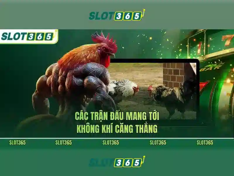 Kiểm Tra Địa Chỉ IP