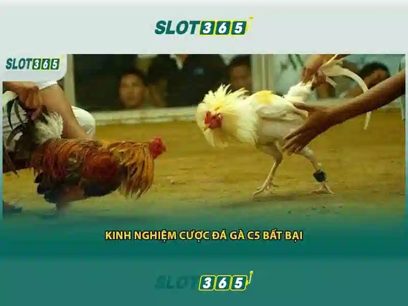 Khám Phá Trải Nghiệm Slot365 Đỉnh Cao