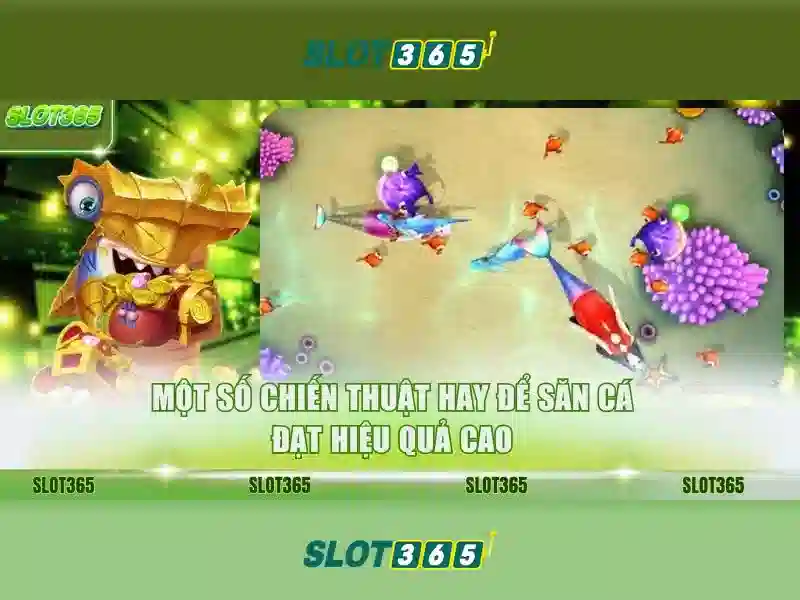 Tại Sao Nên Chọn Slot365