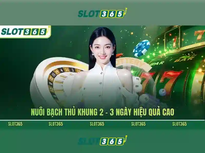 SLOT365 Alternatif