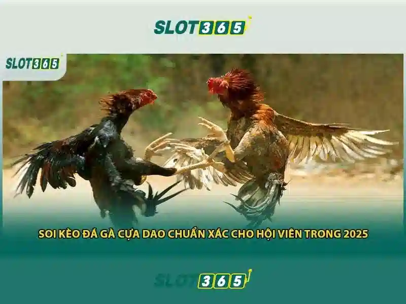trải nghiệm cá cược đỉnh cao