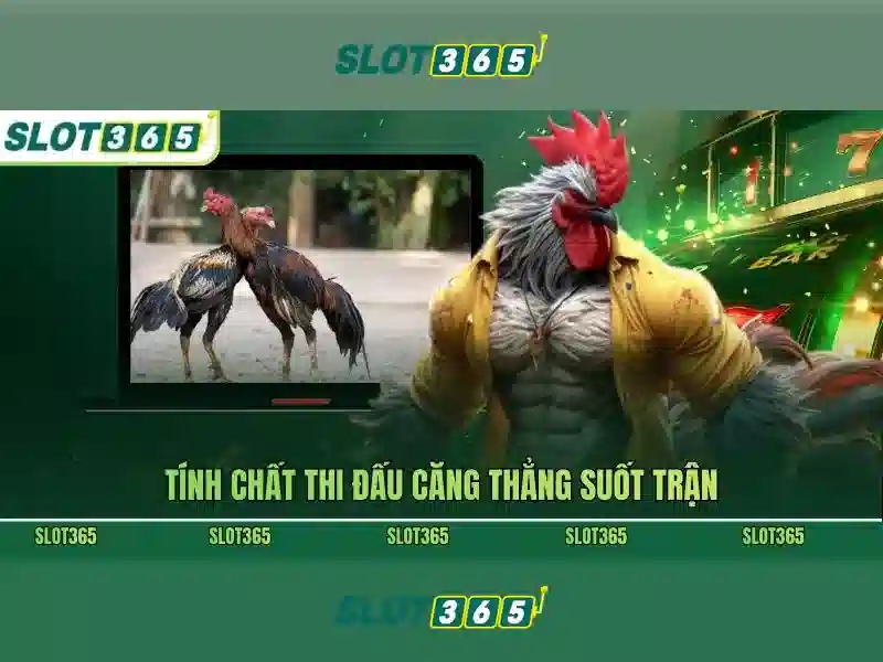 tài khoản Slot365
