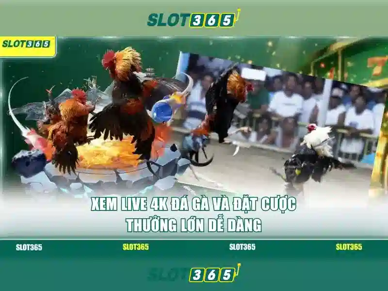 Ưu Điểm Slot365