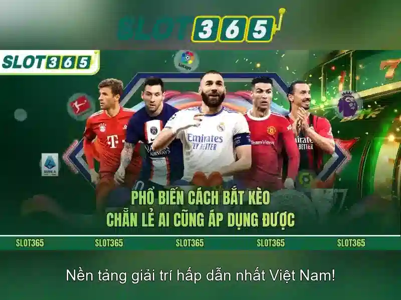 Tại Sao Chọn Slot365