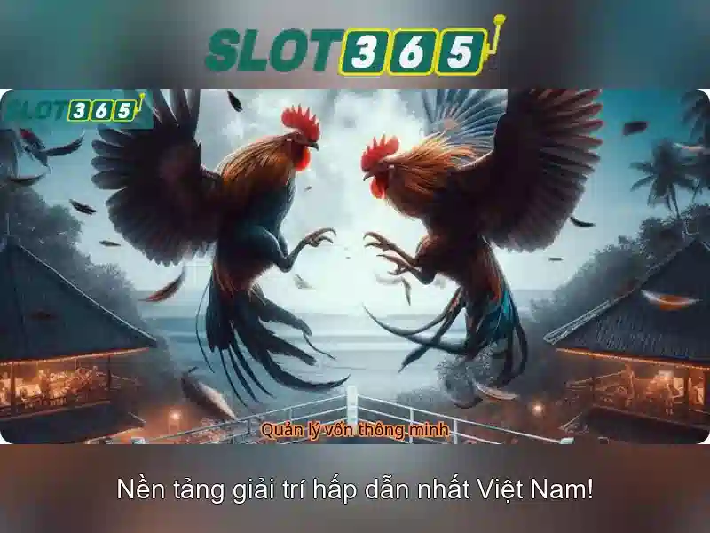 Các loại Slot Game Slot365