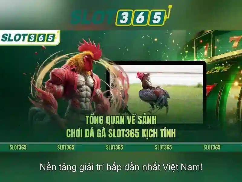 SLOT365 – Trang Chủ Slot365 Uy Tín, Chơi Slot Thật Sự An Toàn 2026
