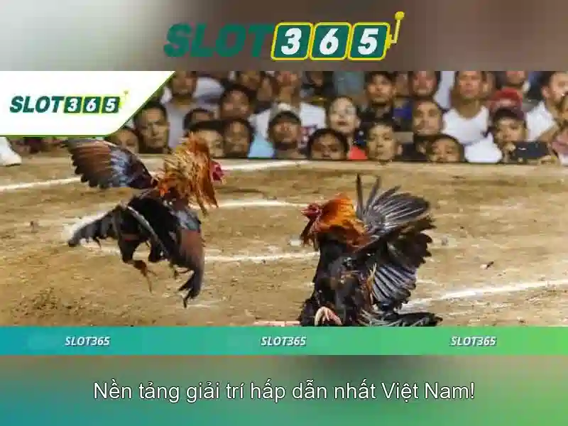 Chương Trình Thưởng Slot365 Nổ Hũ Độc Quyền