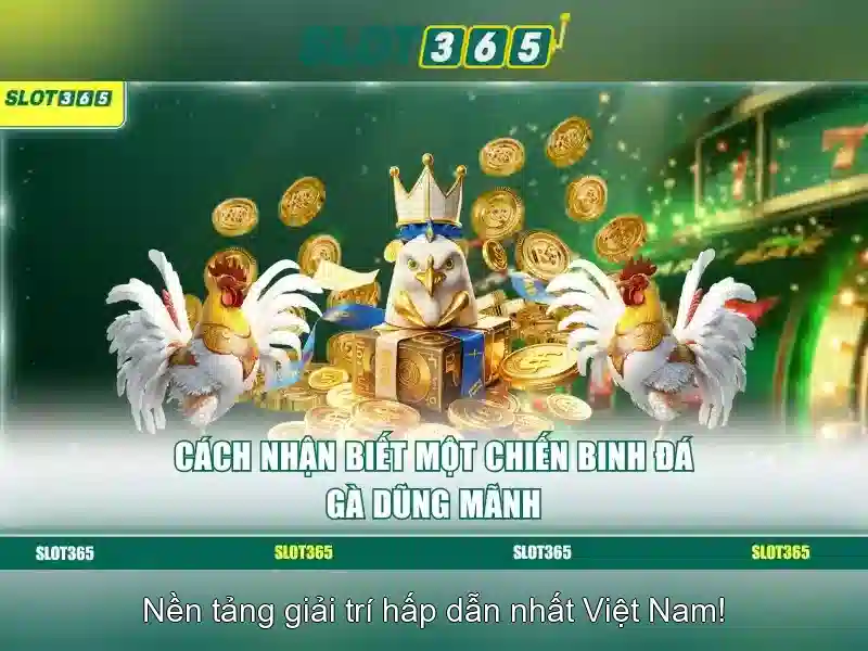 Đăng Nhập Heylink Slot365 – Truy Cập Nhanh Giao Diện Slot365 2026