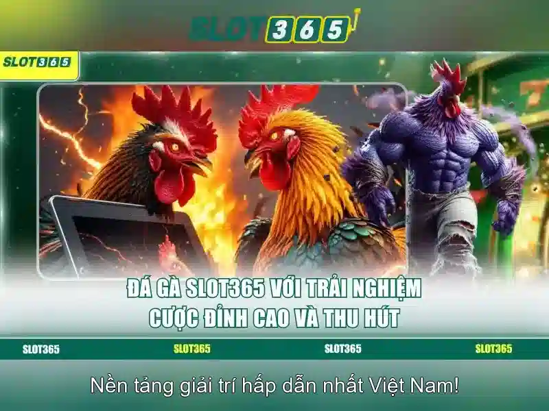 Trải Nghiệm Chơi Slot Trên Ứng Dụng Slot365