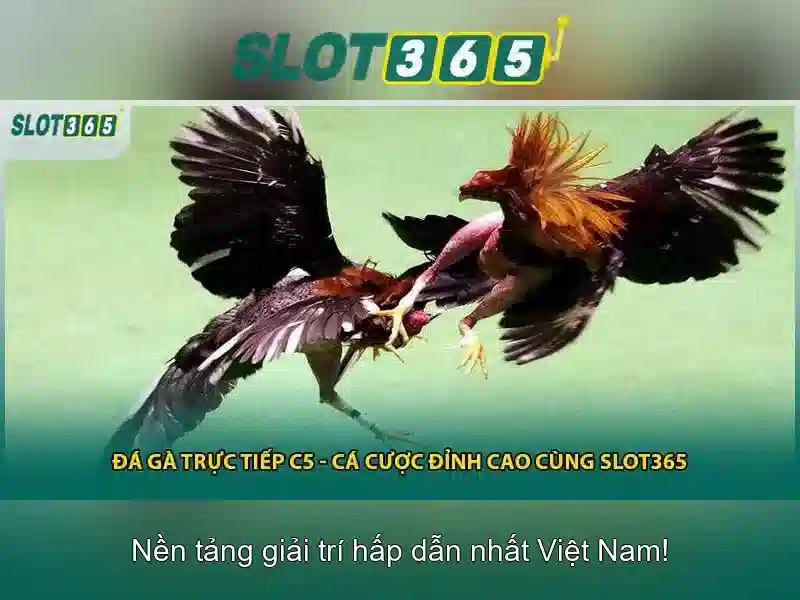 Đa Dạng Trò Chơi Slot Tại SLOT365