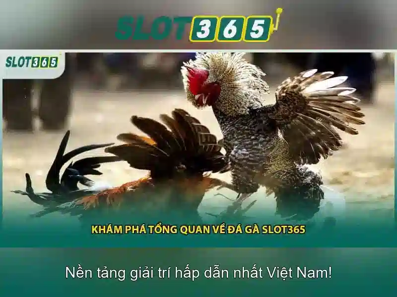 hướng dẫn đăng ký Slot365