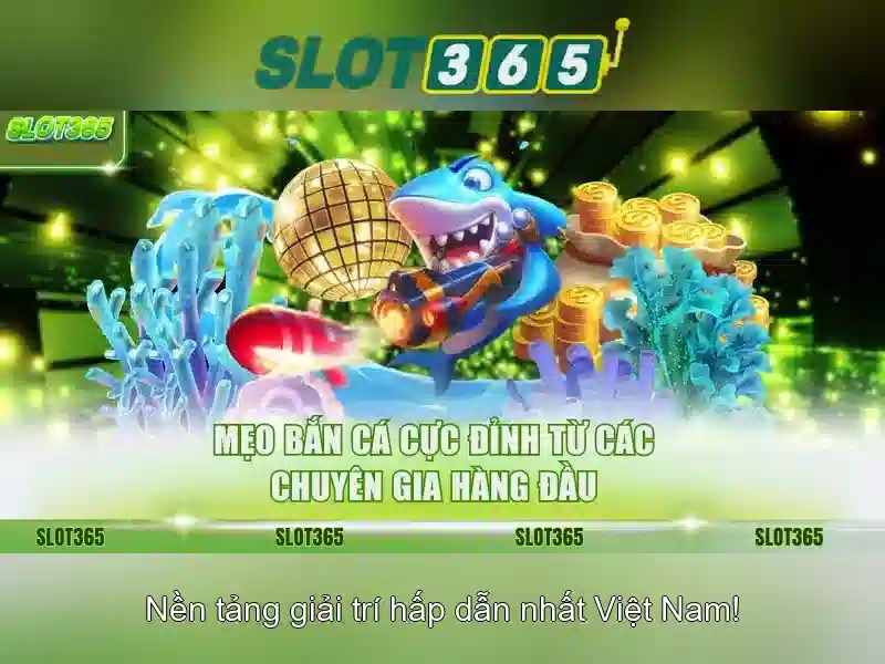 Đặc Điểm Nổi Bật Hoki Slot365