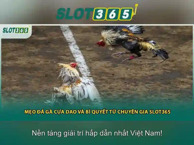 Hướng dẫn tham gia Slot365 nổ hũ
