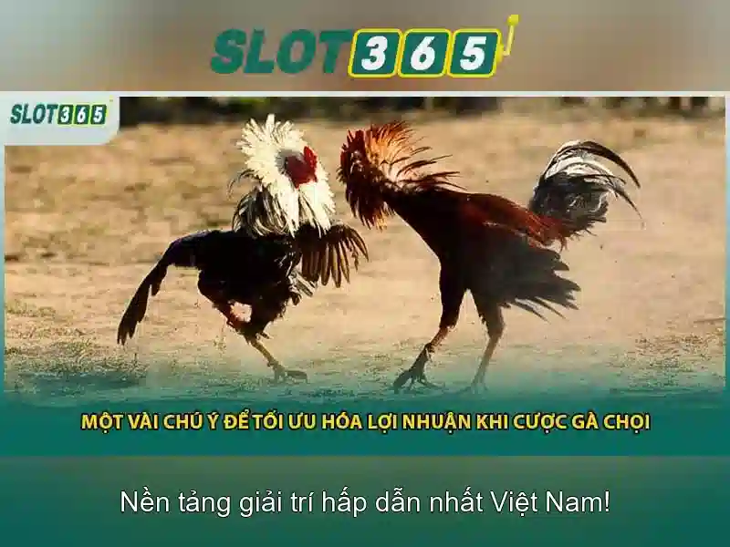 SLOT365 – Trải Nghiệm Slot Đỉnh Cao 2026