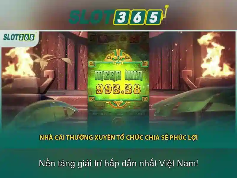 Trải Nghiệm Hoki Slot365 Độc Quyền