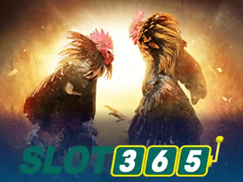 rút thưởng Slot365